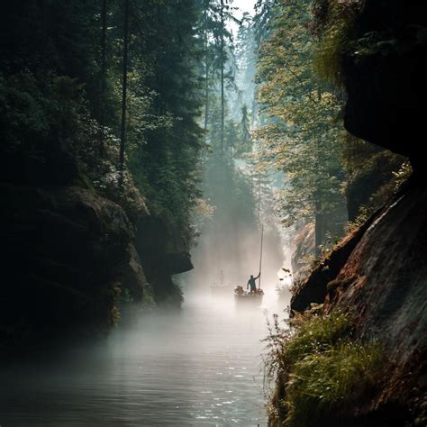 rozpadající se auto porostlé mechem a kapradím