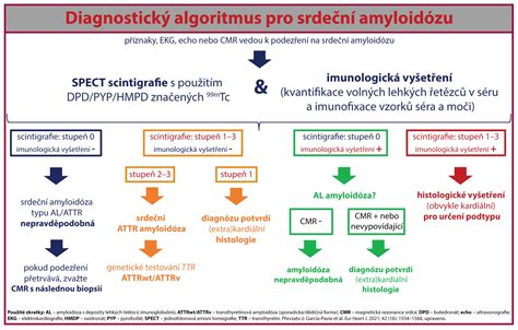 Infografika: diagnostický postup pro nestabilní volnoběh u dieselových motorů