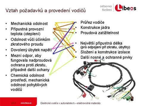 Infografika: Přehled zoomorfních inspirací v automobilech
