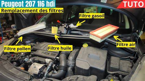 Infografika s přehledem typů filtrů pro Peugeot 207 a jejich rozměrů