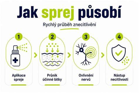 Infografika: Jak funguje těsnicí sprej