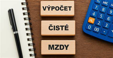 Infografika: mzdy řidičů sanitky v ČR