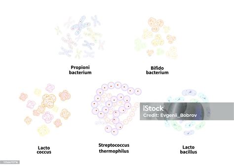 Ilustrace různých typů poklic na kola