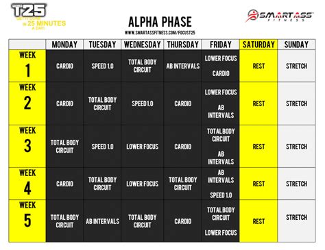 Infografika: Struktura Alpha fáze Focus T25 (burn fat start, cardio, abs, lower focus, stretch)