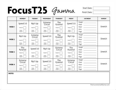Infografika: Gamma fáze Focus T25 - kombinace kardio a síly