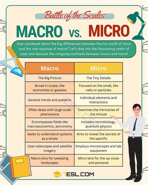Infografika znázorňující hierarchii hashtagů: macro vs. micro vs. niche