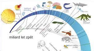 Infografika: Chronologie vývoje závodů na okruzích a klíčové milníky
