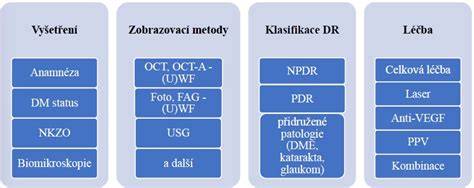 Infografika znázorňující obecné zdroje drnčení v Zafira B a postupy diagnostiky