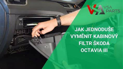 Infografika: Jak funguje iontová a antibakteriální úprava kabinového filtru