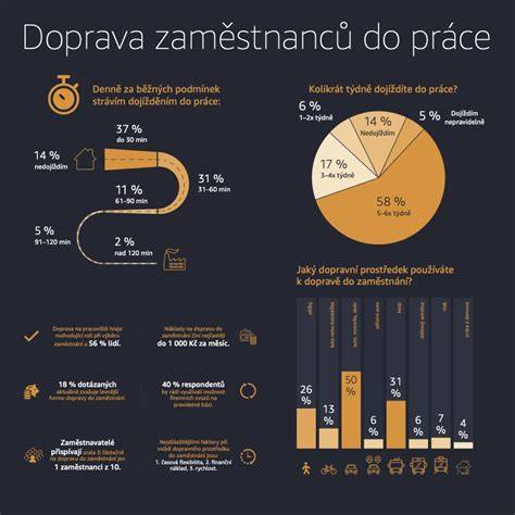 infografika_servisni_prace_automobilu