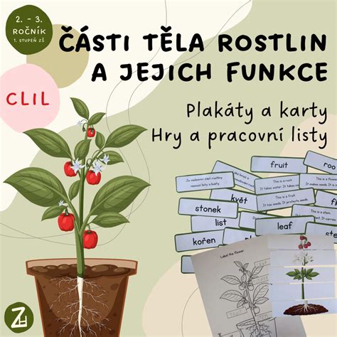 Infografika: části pláště a jejich funkce