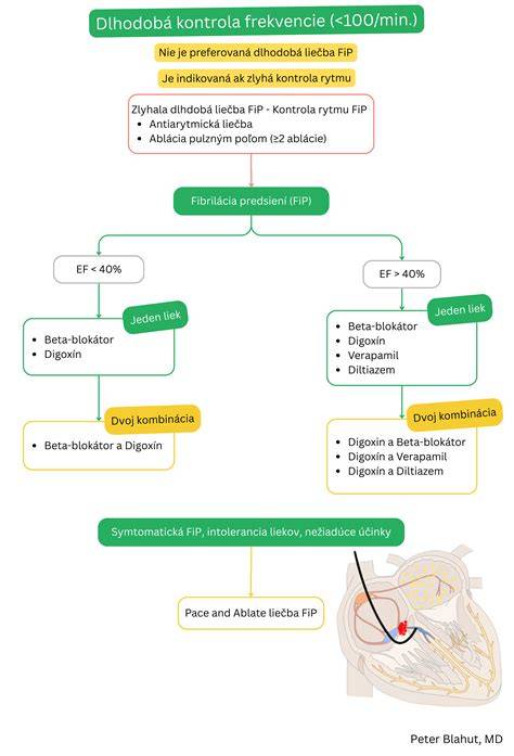infografika teplotní kontrola smažení