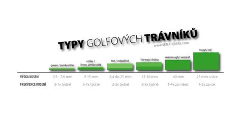 Infografika: Typy golfových bagů a jejich hlavní vlastnosti