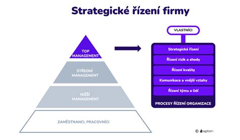 Infografika: Statusové vozy a jejich rozdělení podle úrovně managementu