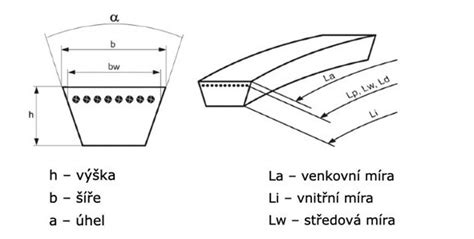 Ilustrační foto různých typů klínových a drážkových řemenů.