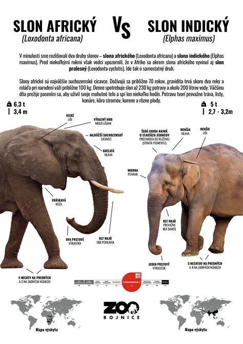 Infografika: tlmenie vibrácií silentblokmi medzi prevodovkou, motorom a karosériou Wartburgu 353