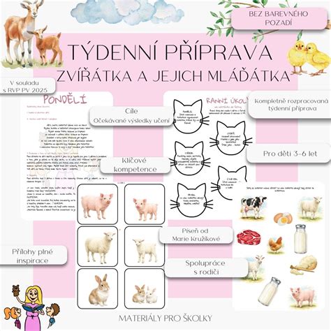 Infografika: Přehled kontrolkek a jejich barevného významu