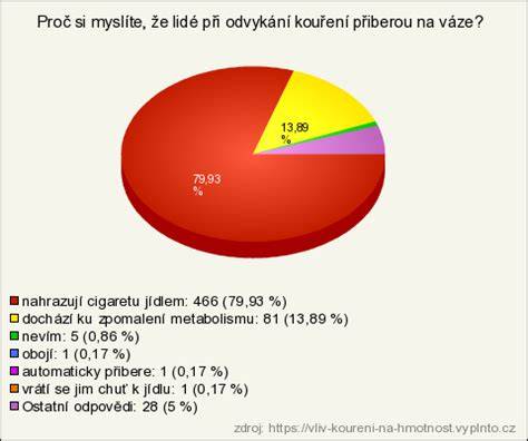Graf: Hmotnostní rozpětí Fabia I (6Y) a vliv výbavy na užitnou hmotnost