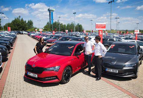 Infografika: Přehled typů vozidel a jejich cenových hladin na autobazaru Lidl v Týně nad Vltavou