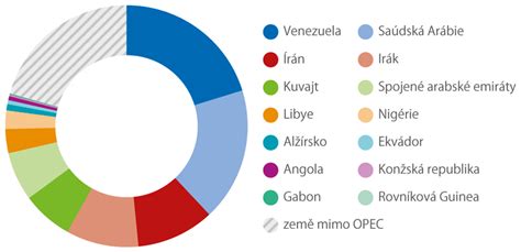 Infografika: dekompozice českého trhu BEV a hlavní hráči