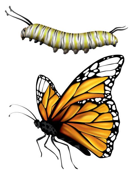 Ilustrace znázorňující různé kariérní cesty ve společnosti.