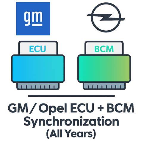 Infografika: Struktura diagnostiky Opel ECU a běžné toky chyb