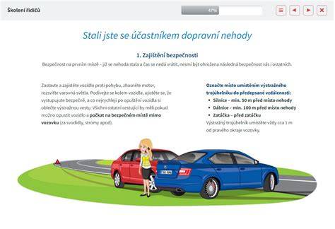Infografika: Rozdělení řidičů na referenty a profesionální řidiče a jejich povinnosti