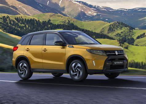 Infografika: Přehled bobtových modelů a jejich typických blinkrů Suzuki