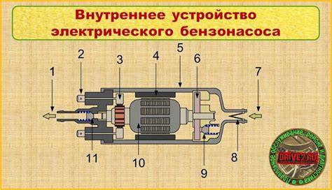 Infografika: Přehled palivového systému a palivového čerpadla