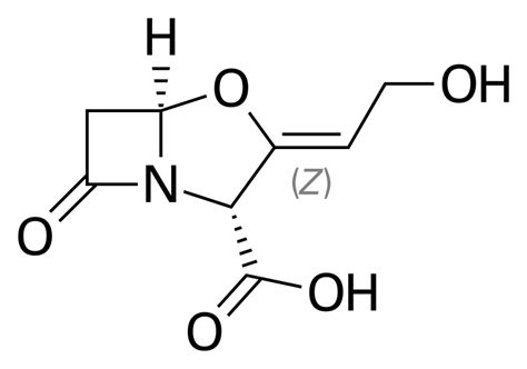 Schéma mechanismu Amoksiklav: amoxicillin a kyselina klavulanová