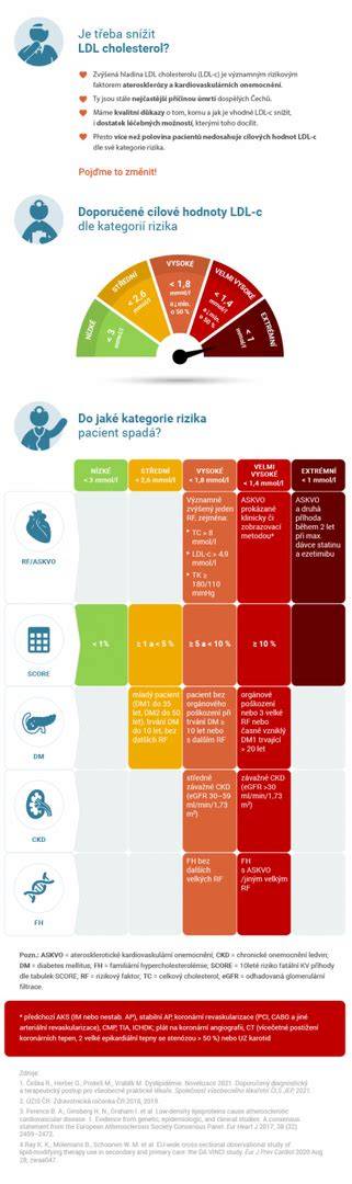 Infografika: typy motorů Mazdy, doporučené údržbové intervaly a nejčastější problémy