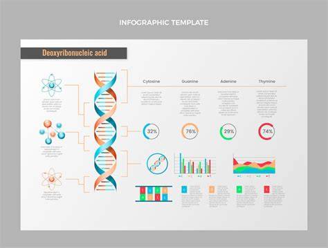 Infografika: konstrukce sendvičového dna a rozvod tepla