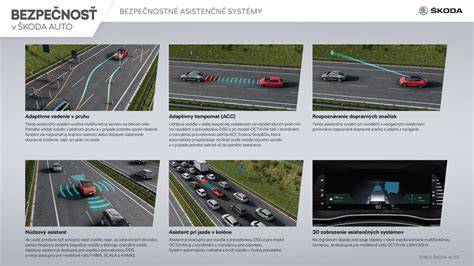 Infografika: Schéma tankování, bezpečnostní pravidla a rozdíly mezi palivy