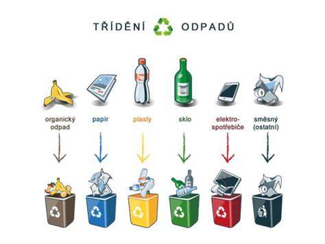 Infografika: Ekologické zásady a třídění odpadu