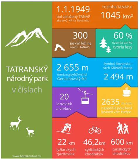 Infografika: Vývojová linie Tatry 815 a její hlavní verze