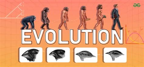 infografika_karyserie_evolution