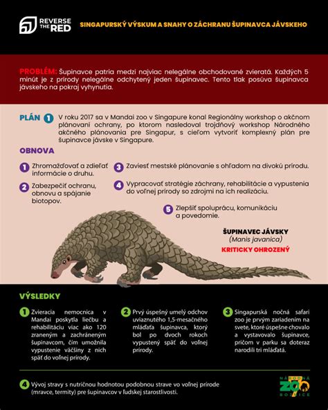 Infografika: Průřez skládací střechou a jejími komorami (UKÁŽKA)