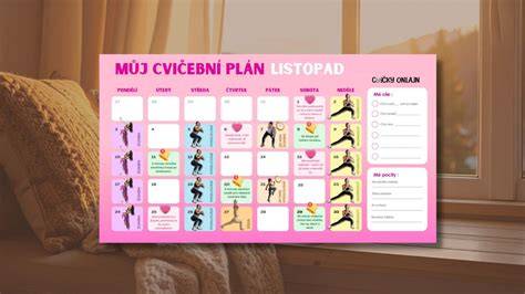 Plan pohybu v koloně a volba režimu řazení