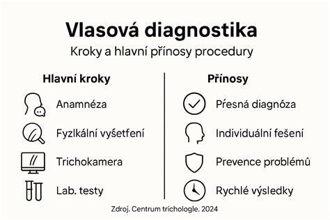 Infografika: Předpokládané kroky diagnostiky startování Fabie