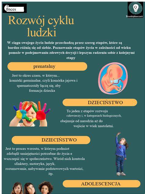 Infografika: etapy prezutu pneumatik