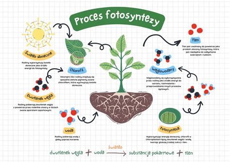 infografika_proces_prohlidky.jpg