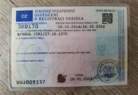 Infografika: Proces adopce ORV a online registru vozidel