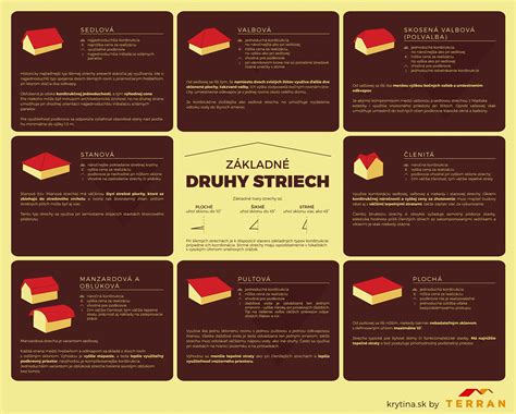Infografika: typy laků a jejich výhody (metalický, perleťový, jednobarevný, matný)