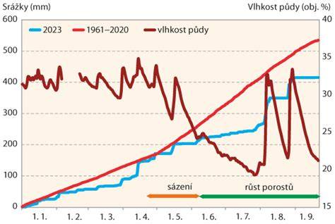 Graf: Přehled verzí POV a jejich limity
