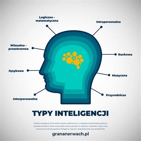 Infografika: Typy a úrovně zouvaček (poloautomatická, automatická, superautomatická)