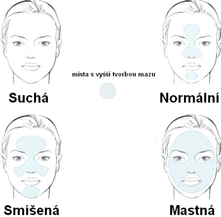 Infografika: Rozdíl mezi jednohmotem a dvouhmotem, jak poznat typ setrvačníku a součástky při výměně