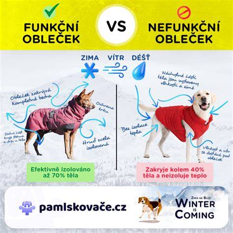 Infografika označení ICE a jeho rozdíl oproti běžným zimním značkám