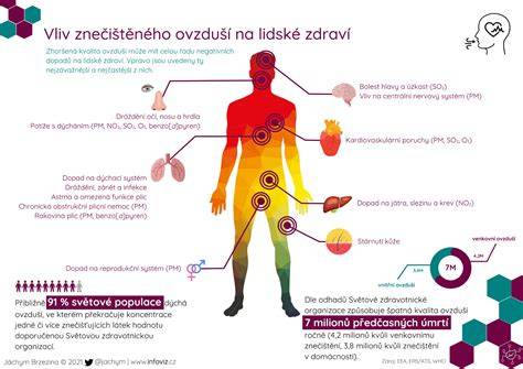 Infografika: Rozdělení zdrojů PM10 a PM2,5 a jejich dopad na zdraví