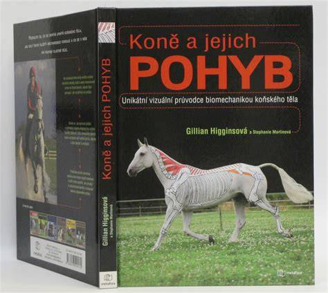 vizuální průvodce bezpečnou jízdou vpravo