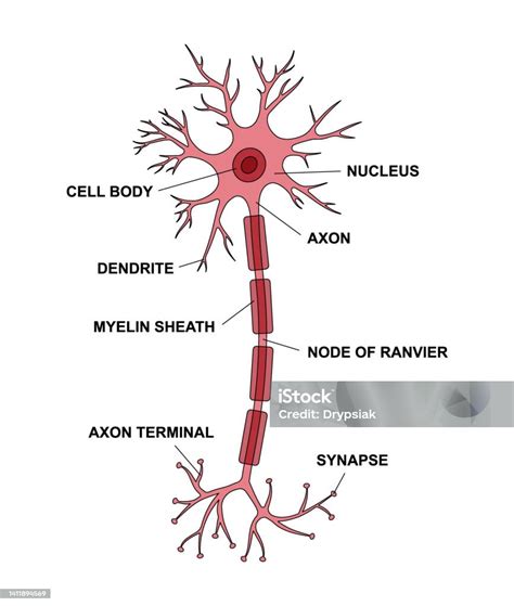 Ilustrace Archimédova kladkostroje s popisem